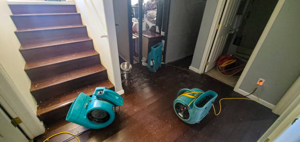 Best Fire Damage Restoration  in Fort Llins, CO