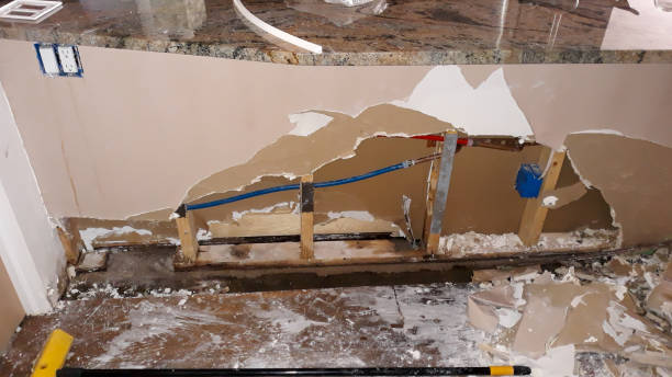 Best Water damage restoration mold remediation  in Fort Llins, CO