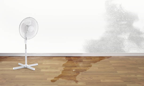Best Sewage cleanup and water damage restoration  in Fort Llins, CO