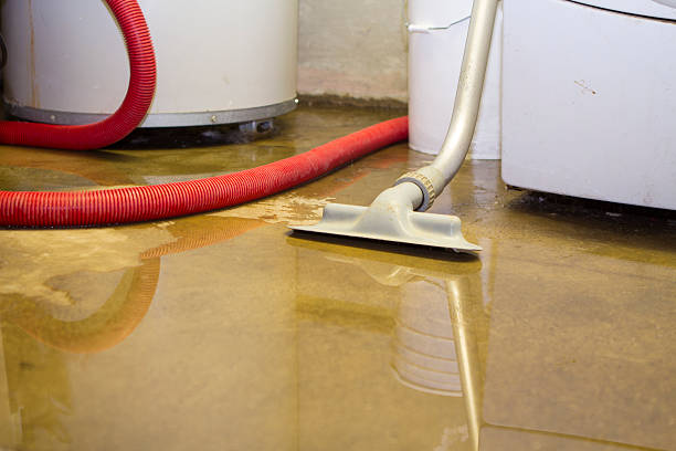 Best 24-hour water damage restoration  in Fort Llins, CO