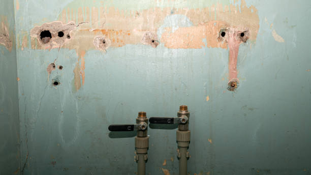 Best Water damage restoration near me  in Fort Llins, CO