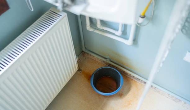 Best Basement water damage restoration  in Fort Llins, CO