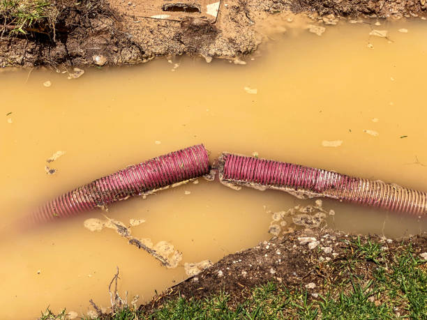 Best Residential water damage restoration  in Fort Llins, CO
