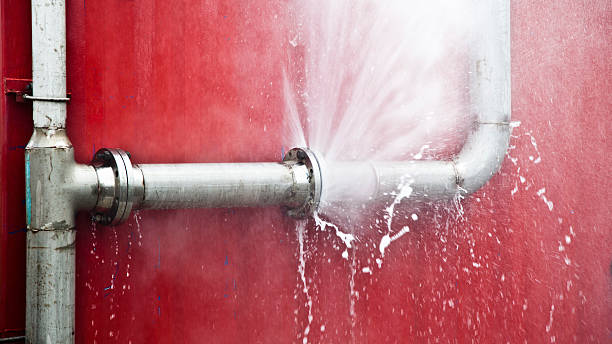 Best Commercial water damage restoration  in Fort Llins, CO